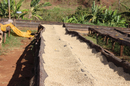 KENYA Gichathaini