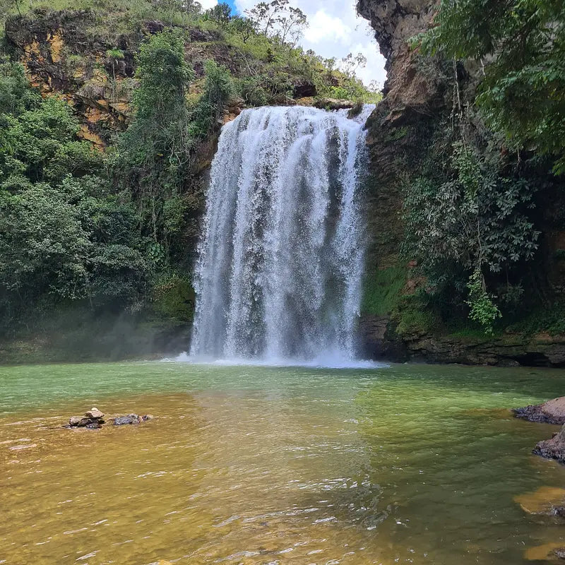 BRAZIL - Fazenda Dois Irmãos